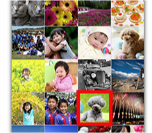 插图:Canon PRINT Inkjet/SELPHY屏幕